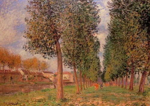 The_Poplar_Avenue_at_Moret__Cloudy_Day__Morning_7596.jpg